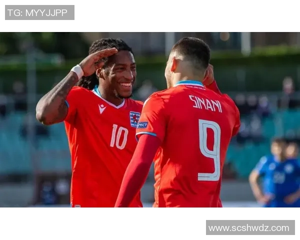 黑山历史足球球星盘点：从传奇人物到现代英雄的辉煌之路